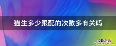 猫配了多久会生怎么算 猫生多少跟配的次数多有关吗
