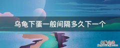 乌龟下蛋一般间隔多久下一个 乌龟多久下一次蛋