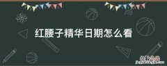红腰子精华日期怎么看5位 红腰子精华日期怎么看