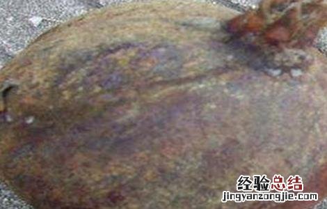 石榴麻皮的原因及防治措施 石榴麻皮的原因及防治措施视频
