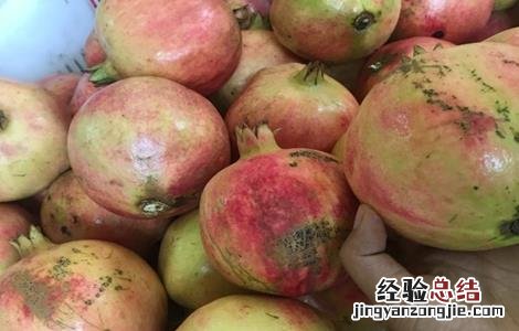 石榴麻皮的原因及防治措施 石榴麻皮的原因及防治措施视频