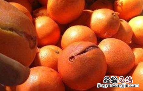 脐橙裂果原因及防治方法视频 脐橙裂果原因及防治方法