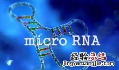 提取的rna保存方法 rna提取后如何保存