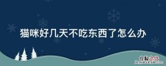 猫咪好几天都不吃东西怎么办 猫咪好几天不吃东西了怎么办