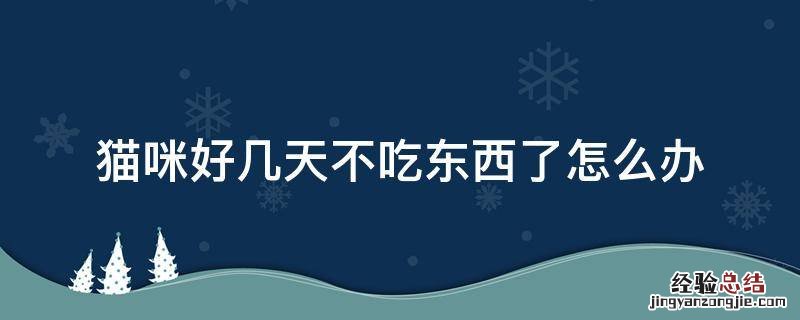 猫咪好几天都不吃东西怎么办 猫咪好几天不吃东西了怎么办