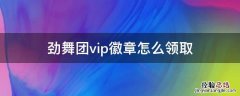 劲舞团vip徽章怎么领取 劲舞团公会徽章还能领吗