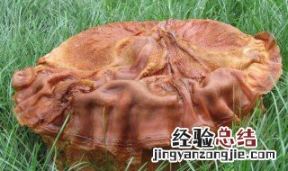 太岁水的功效与作用 太岁水的功效与作用什么时候喝