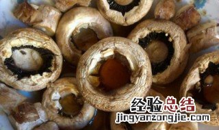 墨西哥用龙舌兰制作什么酒 墨西哥龙舌兰酒烤蘑菇怎么做