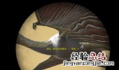 方舟风神翼龙蛋饲料怎么做? 方舟风神翼龙蛋饲料配方