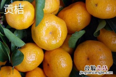 沙糖桔和贡桔的区别 砂糖桔和贡桔哪个好吃