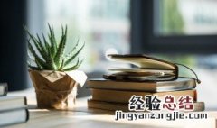 芦荟浇水的正确方法 芦荟浇水需要注意什么