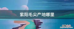 紫阳毛尖是什么地方的 紫阳毛尖产地哪里