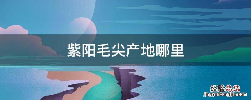 紫阳毛尖是什么地方的 紫阳毛尖产地哪里
