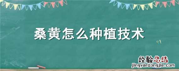 桑黄怎么种植技术 桑黄怎么种植技术视频