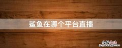 鲨鱼在哪个平台直播? 鲨鱼在哪个平台直播