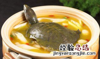甲鱼炖汤怎么做好吃 甲鱼炖汤怎么做好吃又简单