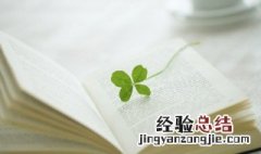 东字旁的字 含有东字旁的字