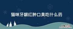 猫咪牙龈发炎口臭 猫咪牙龈红肿口臭吃什么药