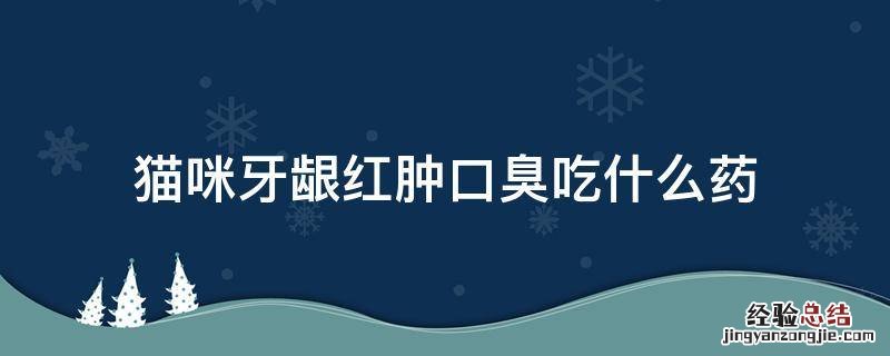 猫咪牙龈发炎口臭 猫咪牙龈红肿口臭吃什么药