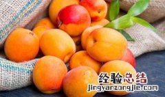食用杏子的禁忌有哪些 吃杏子的好处与禁忌
