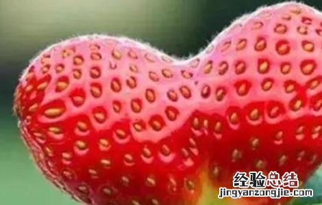 草莓畸形果的防治措施包括 草莓畸形果的原因及预防措施