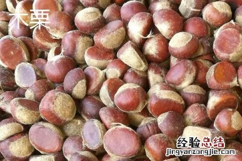 油栗和板栗一样吗 板栗和油栗有什么区别