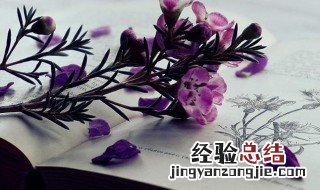 求全责什么成语 全责的成语