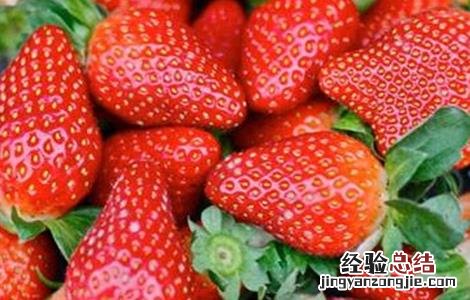 提高草莓甜度 草莓的增甜技术