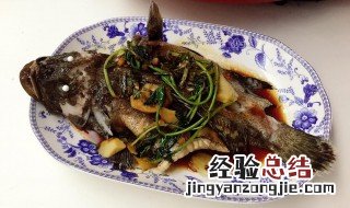 石斑鱼家常做法教程大全 石斑鱼家常做法教程