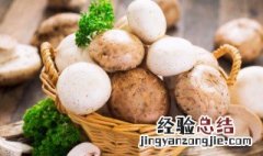 蘑菇过夜可以吃吗 蘑菇过夜可不可以吃