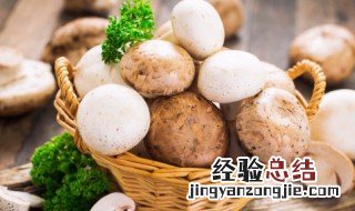 蘑菇过夜可以吃吗 蘑菇过夜可不可以吃