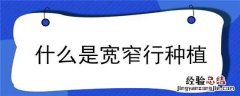 什么是宽窄行种植 宽窄行种植法