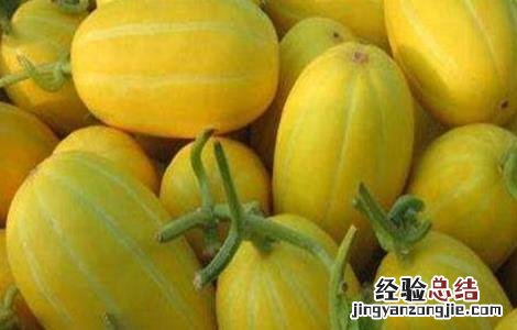 如何增加甜瓜甜度 甜瓜如何增甜