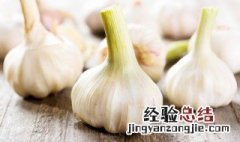 冬季大蒜怎样保存不发芽 冬季大蒜怎样保存不发芽呢