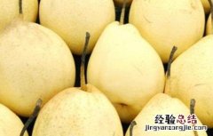 怎么提高雪梨的产量 怎么提高雪梨的产量和产量