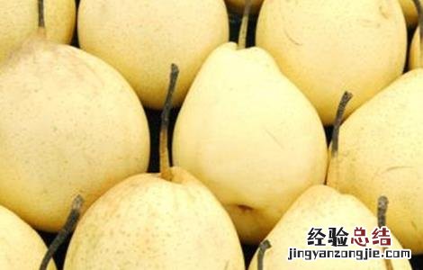 怎么提高雪梨的产量 怎么提高雪梨的产量和产量