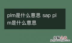 plm是什么意思 sap plm是什么意思