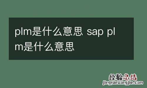 plm是什么意思 sap plm是什么意思