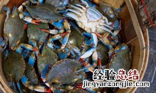 排骨梭子蟹怎么煮 如何做出好吃的香炖梭子蟹黄骨鱼