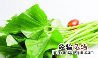 红薯杆子吃了好吗 吃红薯杆子的功效与作用