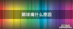 眼球痛是咋回事 眼球痛什么原因