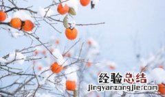 冬天分为三个时期 冬天分为哪三冬