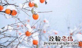 冬天分为三个时期 冬天分为哪三冬