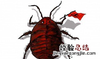 土鳖虫的功效与作用及食用方法 土鳖虫的功效与作用及食用方法是什么呢?