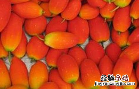 红参果的种植技术 红果参的种植方法