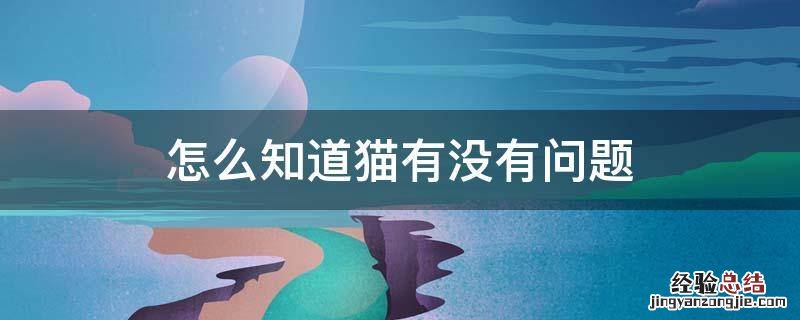 怎么知道猫有没有问题 如何看猫有没有问题