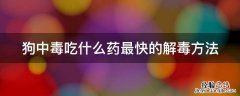 狗中毒吃什么药最快的解毒方法