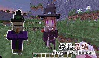 我的世界女巫怎么变回村民 我的世界女巫怎么变回村民模式