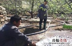 苹果树越冬防寒措施 苹果树越冬防寒措施视频