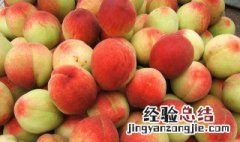 杏子与桃子的区别 杏子和桃子的区别